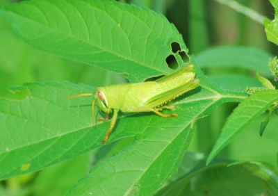 f:id:shinsyu7:20110921113014j:image:w640