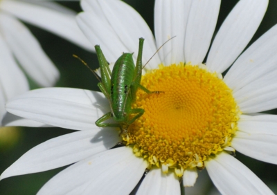 f:id:shinsyu7:20110921113324j:image:w640