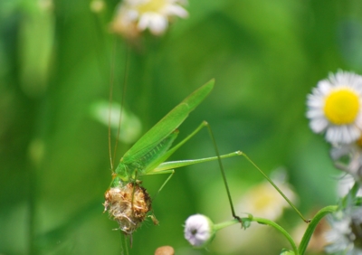 f:id:shinsyu7:20110921113326j:image:w640