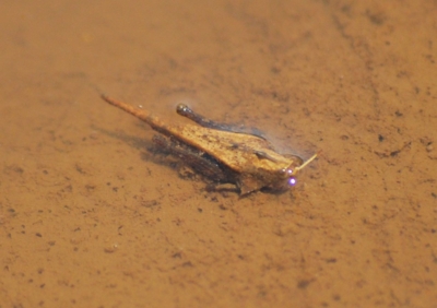 f:id:shinsyu7:20110921115143j:image:w640