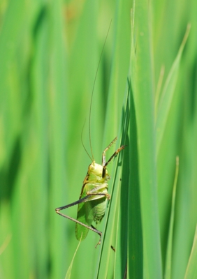 f:id:shinsyu7:20110921115352j:image:w360