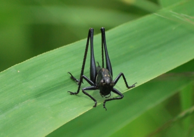 f:id:shinsyu7:20110921120048j:image:w640