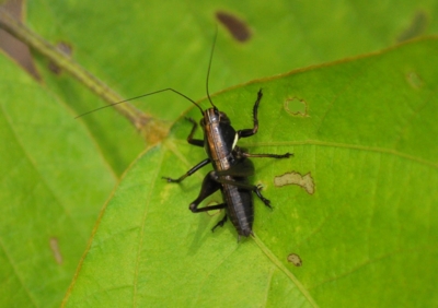 f:id:shinsyu7:20110921120050j:image:w640