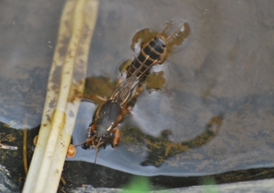 f:id:shinsyu7:20110921120227j:image:w640