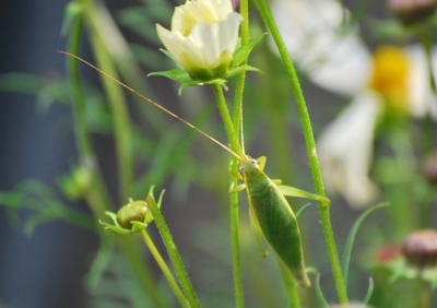 f:id:shinsyu7:20110921121939j:image:w640