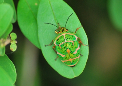 f:id:shinsyu7:20110921124551j:image:w640