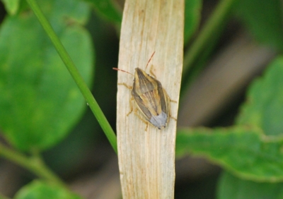 f:id:shinsyu7:20110921124724j:image:w640