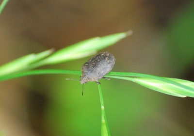 f:id:shinsyu7:20110921125119j:image:w640