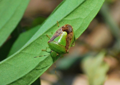 f:id:shinsyu7:20110921125535j:image:w640