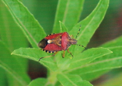 f:id:shinsyu7:20110921125856j:image:w640