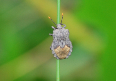 f:id:shinsyu7:20110921130140j:image:w640