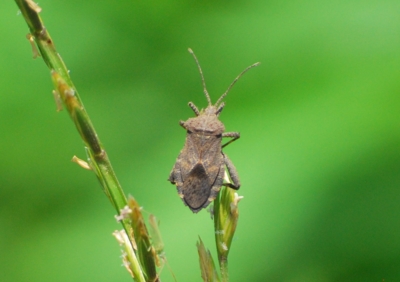 f:id:shinsyu7:20110921130352j:image:w640