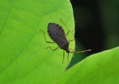 f:id:shinsyu7:20110921130637j:image:w640