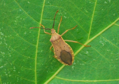 f:id:shinsyu7:20110921130640j:image:w640