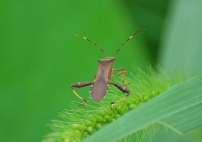 f:id:shinsyu7:20110921130921j:image:w640