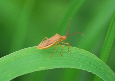 f:id:shinsyu7:20110921131252j:image:w640