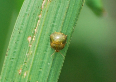 f:id:shinsyu7:20110921131446j:image:w640