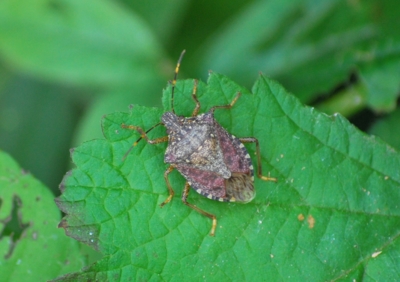 f:id:shinsyu7:20110921131601j:image:w640