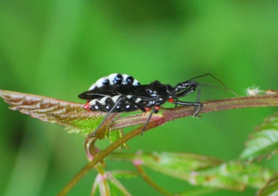 f:id:shinsyu7:20110921131748j:image:w640