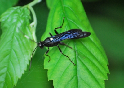 f:id:shinsyu7:20110921135852j:image:w640