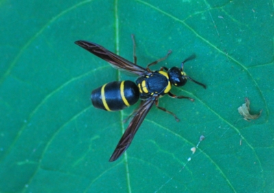 f:id:shinsyu7:20110921140751j:image:w640