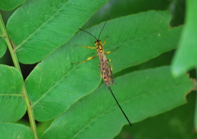 f:id:shinsyu7:20110921140907j:image:w640