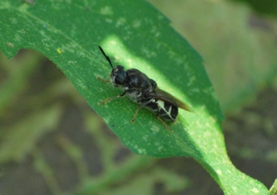 f:id:shinsyu7:20110921141259j:image:w640