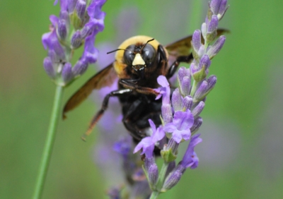 f:id:shinsyu7:20110921142055j:image:w640