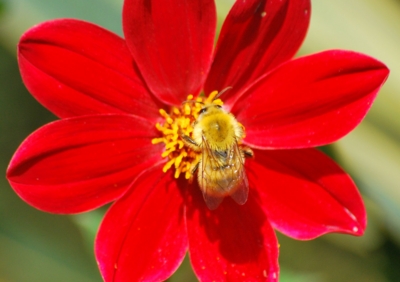 f:id:shinsyu7:20110921142508j:image:w640