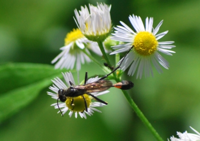 f:id:shinsyu7:20110921142827j:image:w640