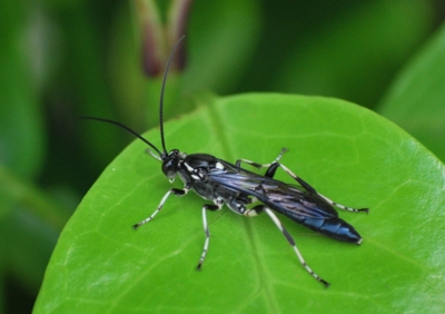 f:id:shinsyu7:20110921142919j:image:w640