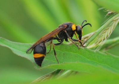 f:id:shinsyu7:20110921143001j:image:w640