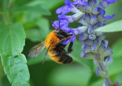 f:id:shinsyu7:20110921143519j:image:w640