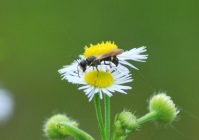 f:id:shinsyu7:20110921143604j:image:w640