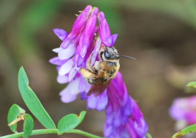 f:id:shinsyu7:20110921144717j:image:w640