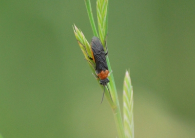 f:id:shinsyu7:20110921144826j:image:w640