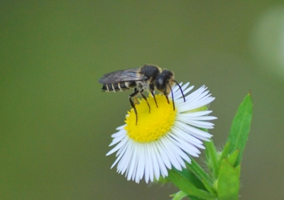 f:id:shinsyu7:20110921150905j:image:w640