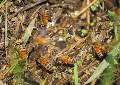 f:id:shinsyu7:20110921151102j:image:w640