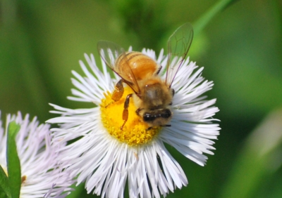 f:id:shinsyu7:20110921151108j:image:w640