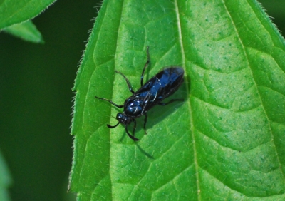 f:id:shinsyu7:20110921151329j:image:w640