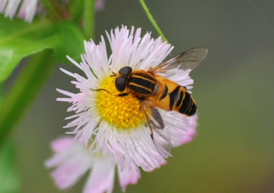 f:id:shinsyu7:20110921152615j:image:w640