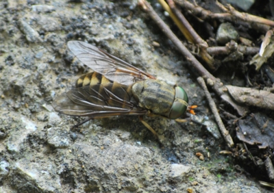 f:id:shinsyu7:20110921152650j:image:w640