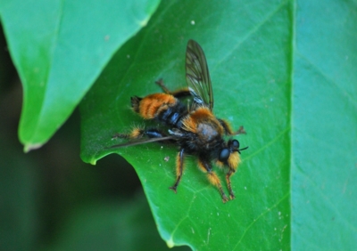 f:id:shinsyu7:20110921152731j:image:w640