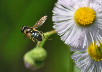 f:id:shinsyu7:20110921152903j:image:w640