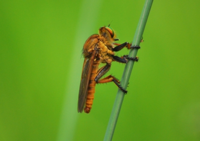 f:id:shinsyu7:20110921153141j:image:w640