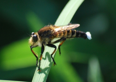 f:id:shinsyu7:20110921153146j:image:w640