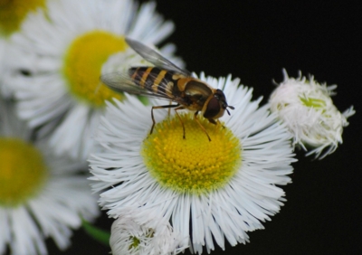 f:id:shinsyu7:20110921153351j:image:w640