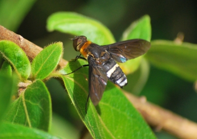 f:id:shinsyu7:20110921153519j:image:w640