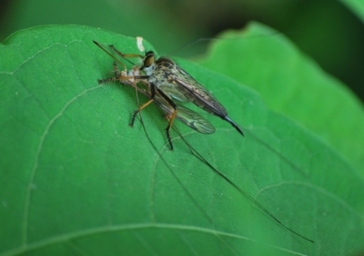 f:id:shinsyu7:20110921153723j:image:w640