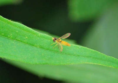 f:id:shinsyu7:20110921154432j:image:w640